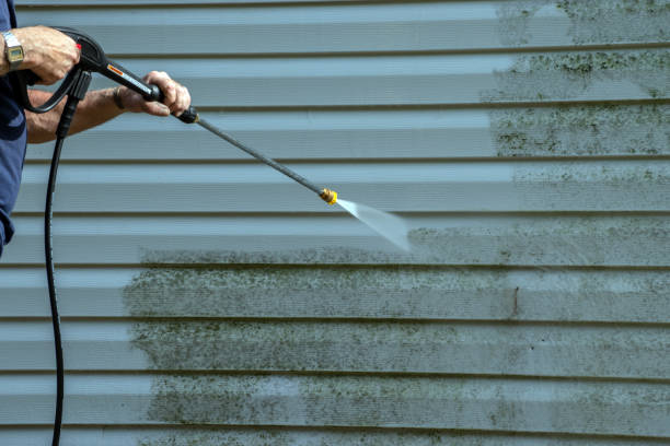 Best Deck Pressure Washing  in Cold Springs, NV