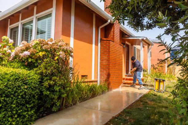 Best Pressure Washing Company Near Me  in Cold Springs, NV