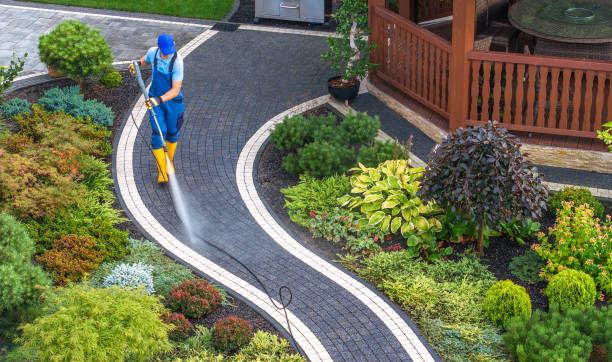 Best Fence Pressure Washing  in Cold Springs, NV